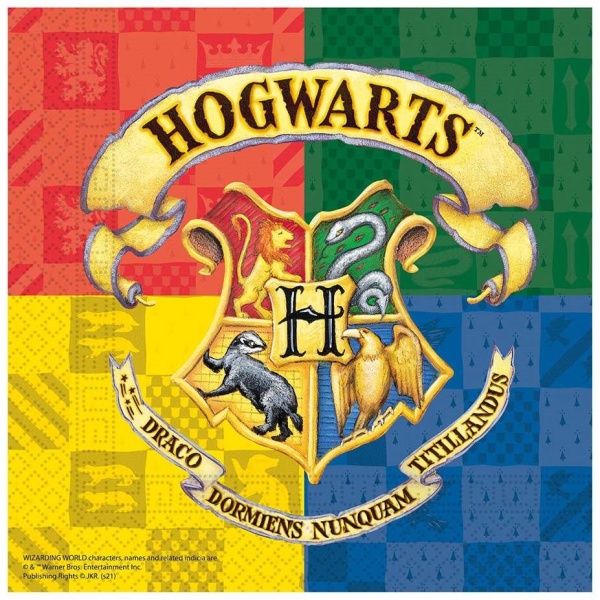 Harry Poter - Ubrousky Harry Potter Hogwarts 20 ks
