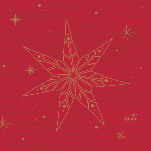 Vánoční ubrousky červené se zlatými hvězdami 20 ks 24x24 cm