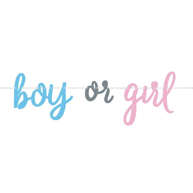 Banner Gender Reveal Boy or Girl 213cm
