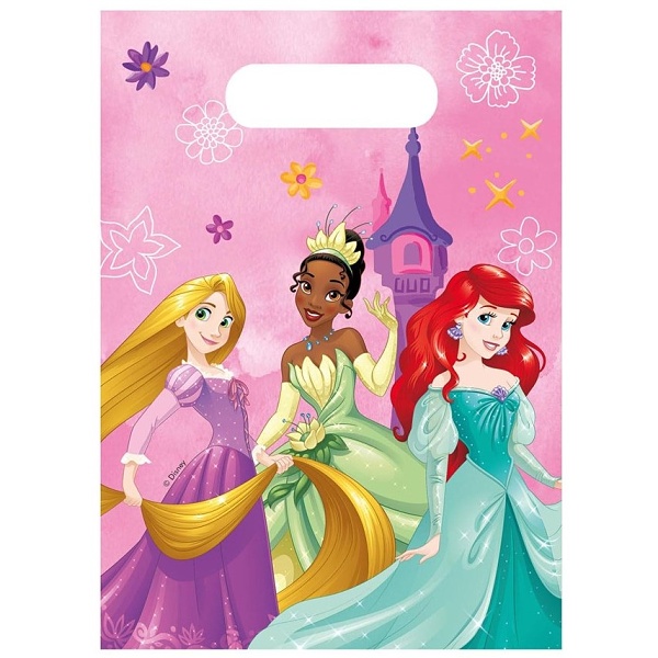 Taštičky plastové Princess Disney 16